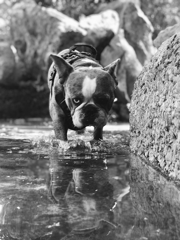 Photograph by Catalina Molina Daruich