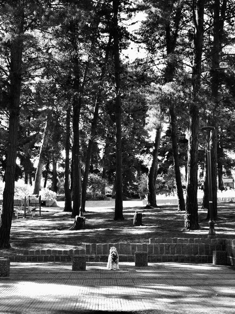 Photograph by Catalina Molina Daruich