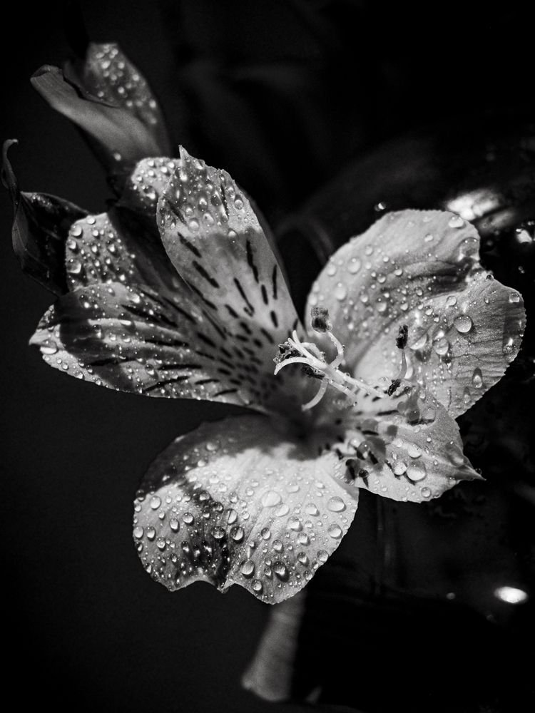 Photograph by Яна Морозова