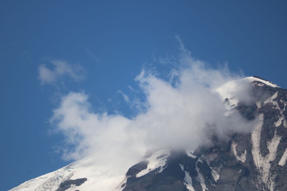 Photograph by Patricia Delionardis