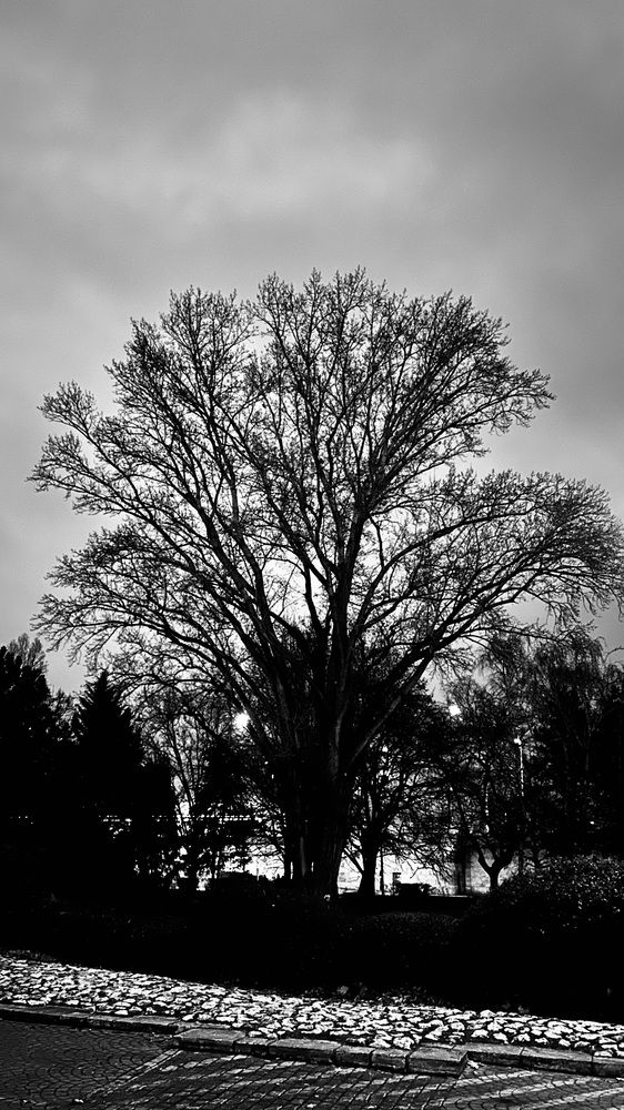 Photograph by Sanira Fernando