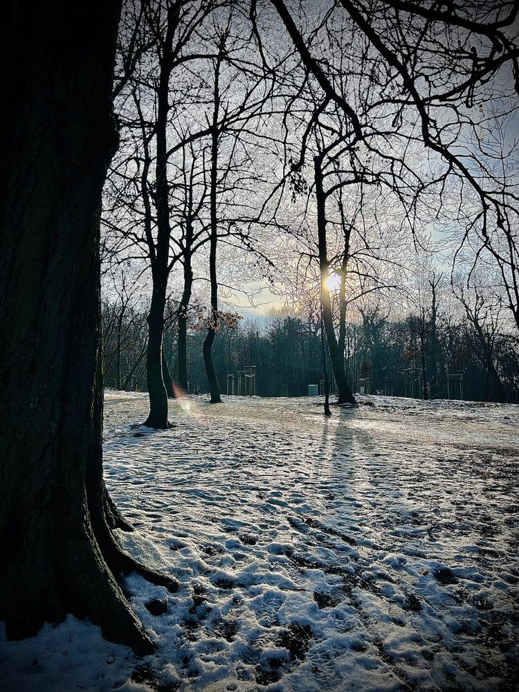 Photograph by Sanira Fernando