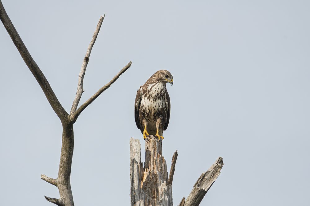 Photograph by Федорако Дмитрий