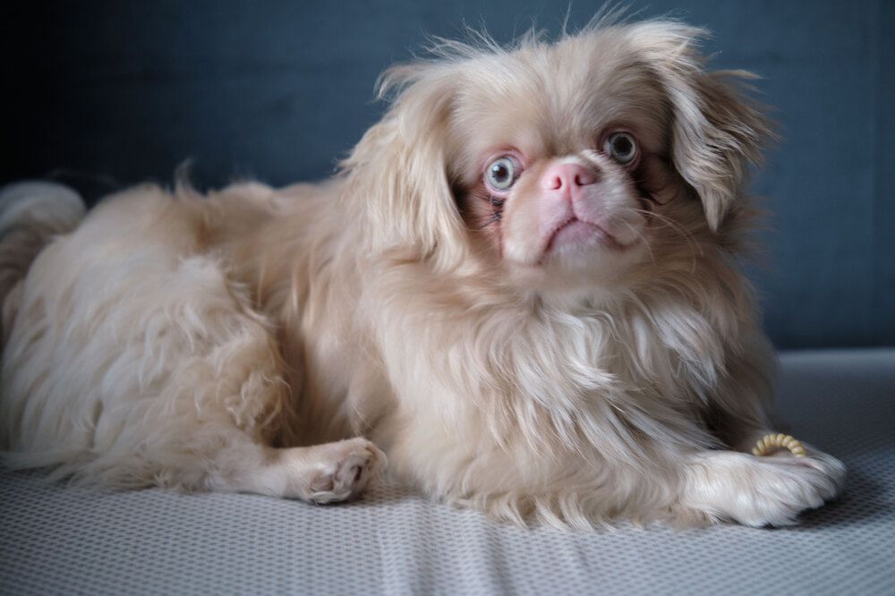 Photograph by Татьяна Рымар