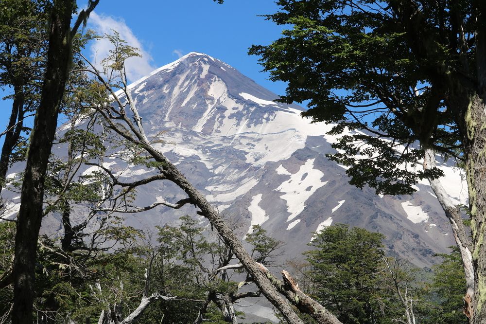 Photograph by Patricia Delionardis