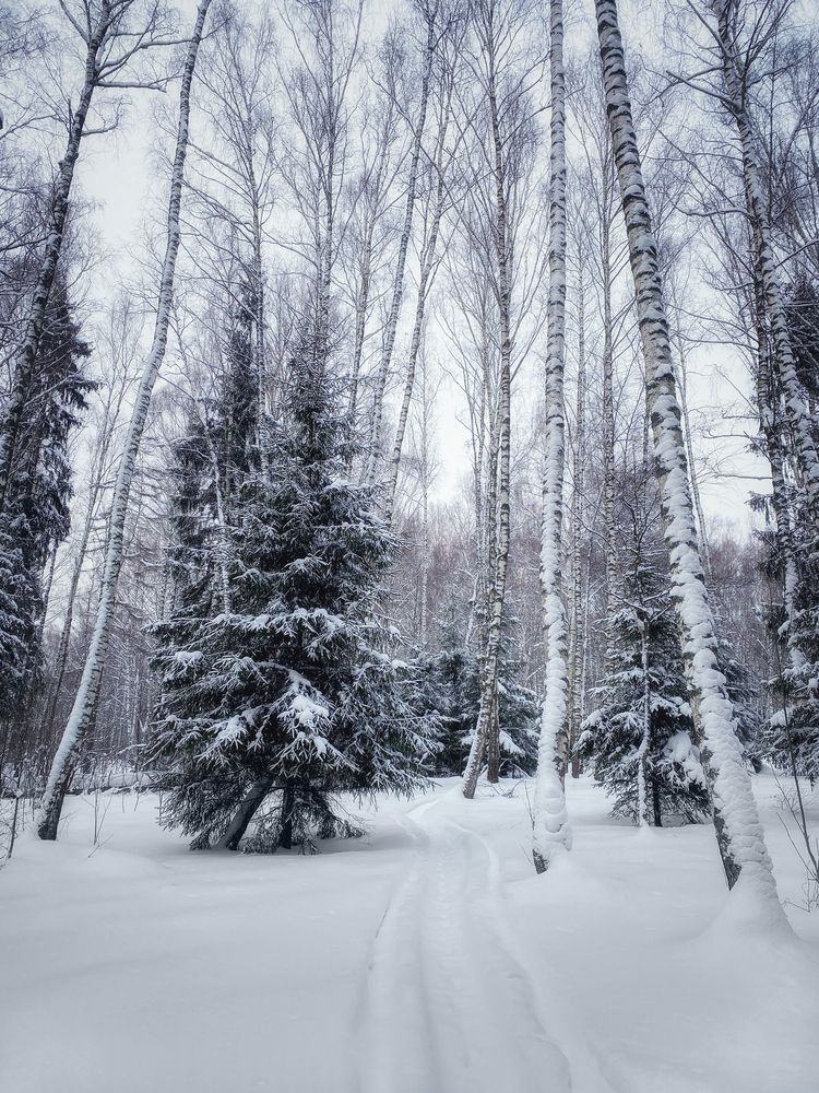 Photograph by Мозжухин Максим