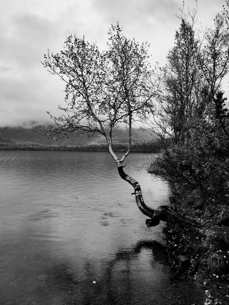 Photograph by Карамышева Дарья