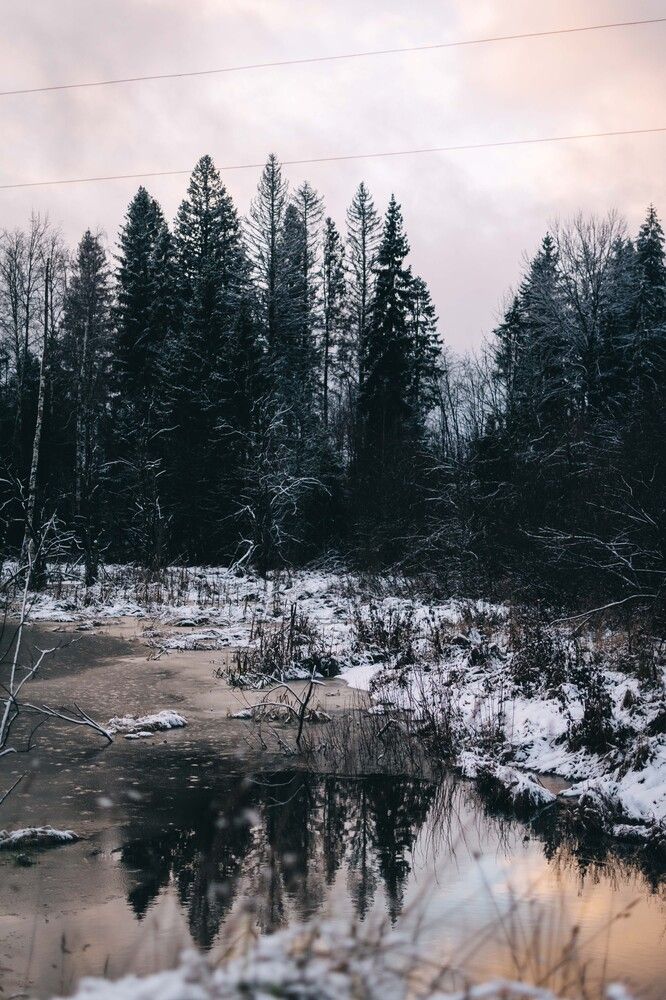 Photograph by Наталья Мерончук