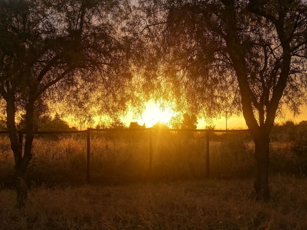 Photo #11867063