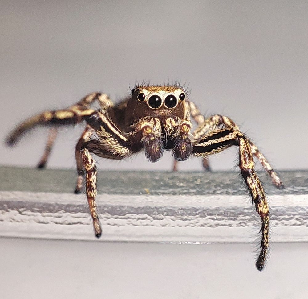 Photograph by Дмитрий Фетисов