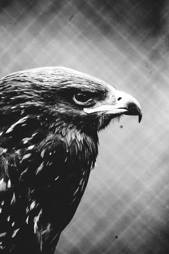 Photograph by Piotr Cichowski