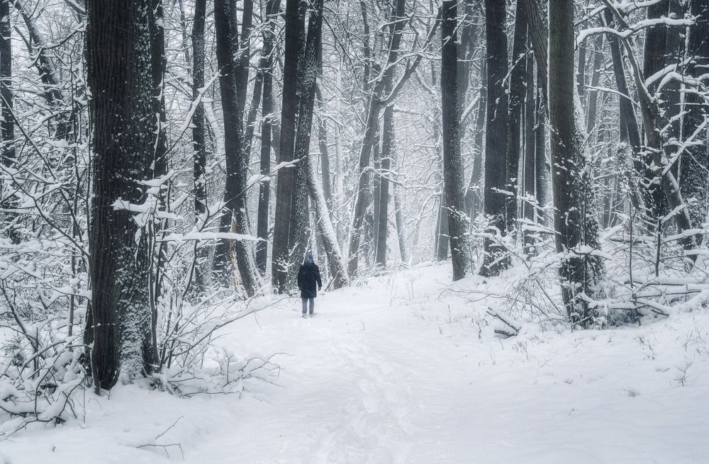 Photograph by Мозжухин Максим