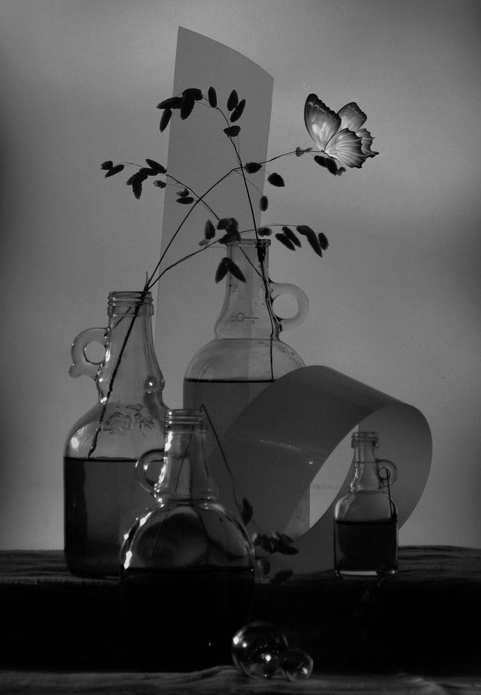 Photograph by Александр Зарх