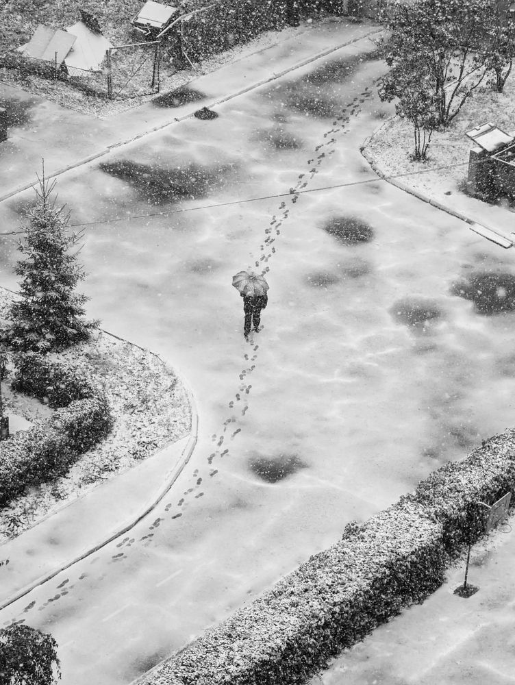 Photograph by Вербицкий Петр