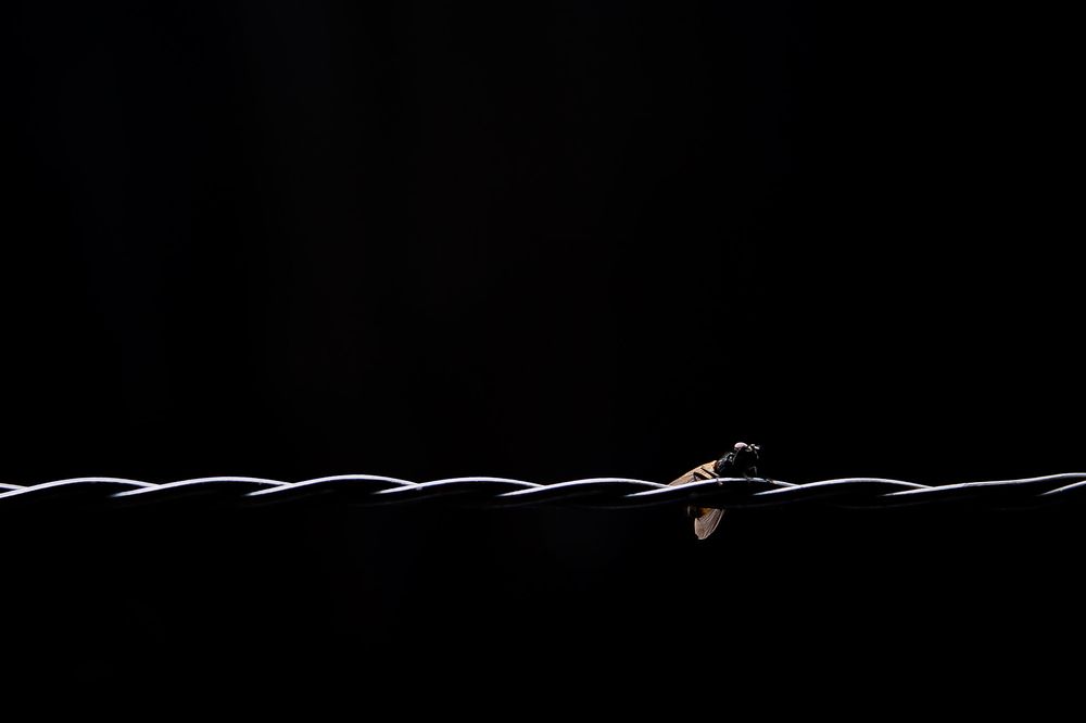 Photograph by Michell Brit