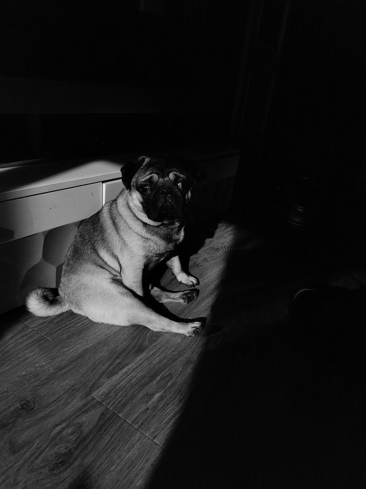 Photograph by Наталья Мерончук