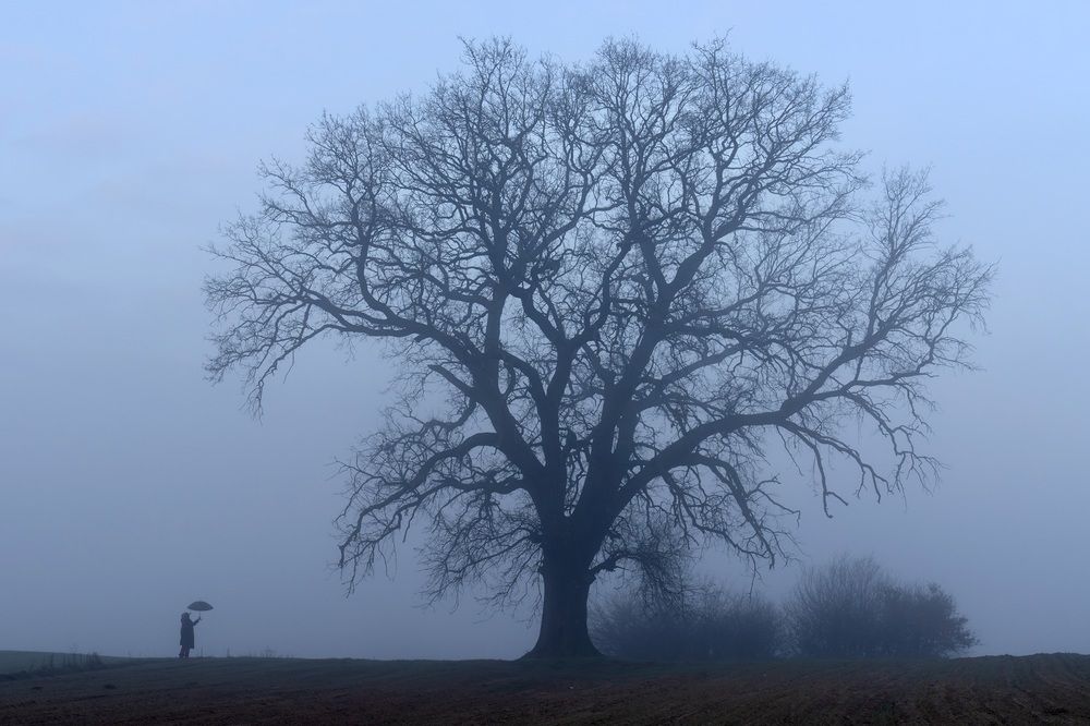 Photograph by Orhan Olmez
