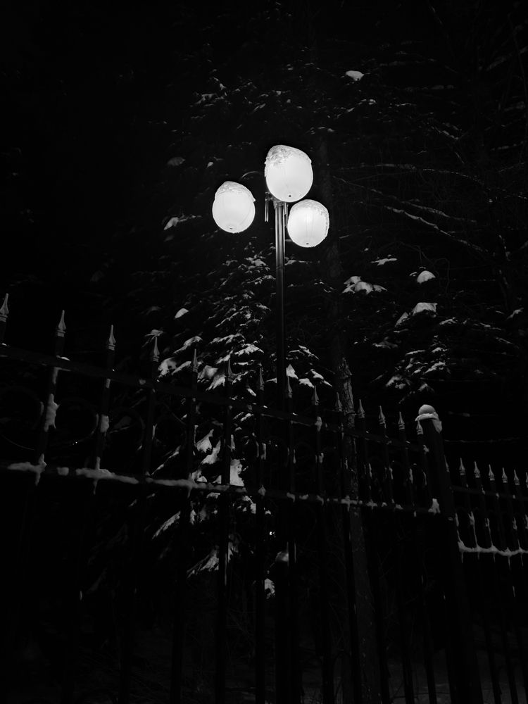 Photograph by Дмитрий Фетисов