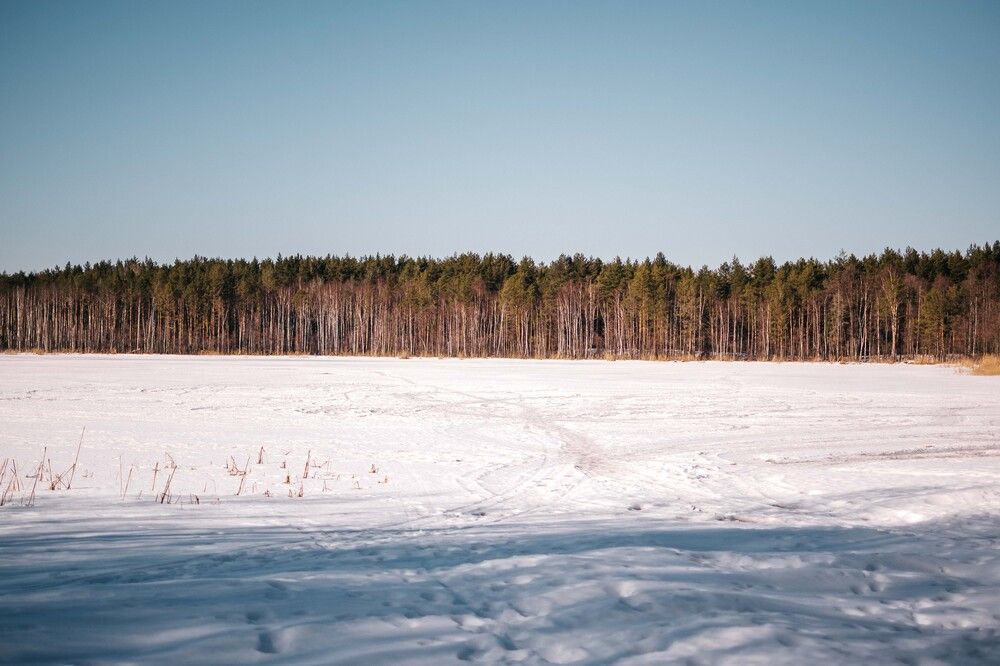 Photograph by Наталья Мерончук