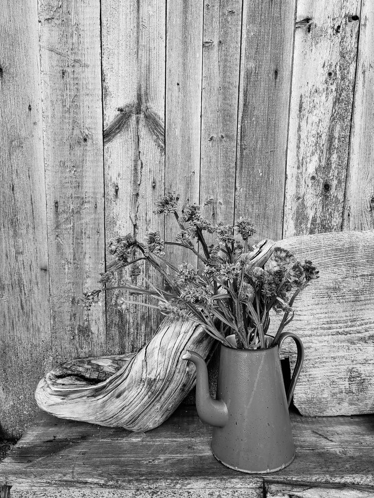 Photograph by Margareth Tikhonova