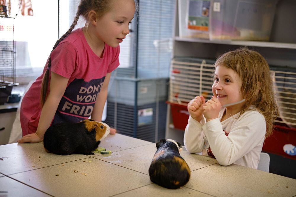 Photograph by Татьяна Рымар