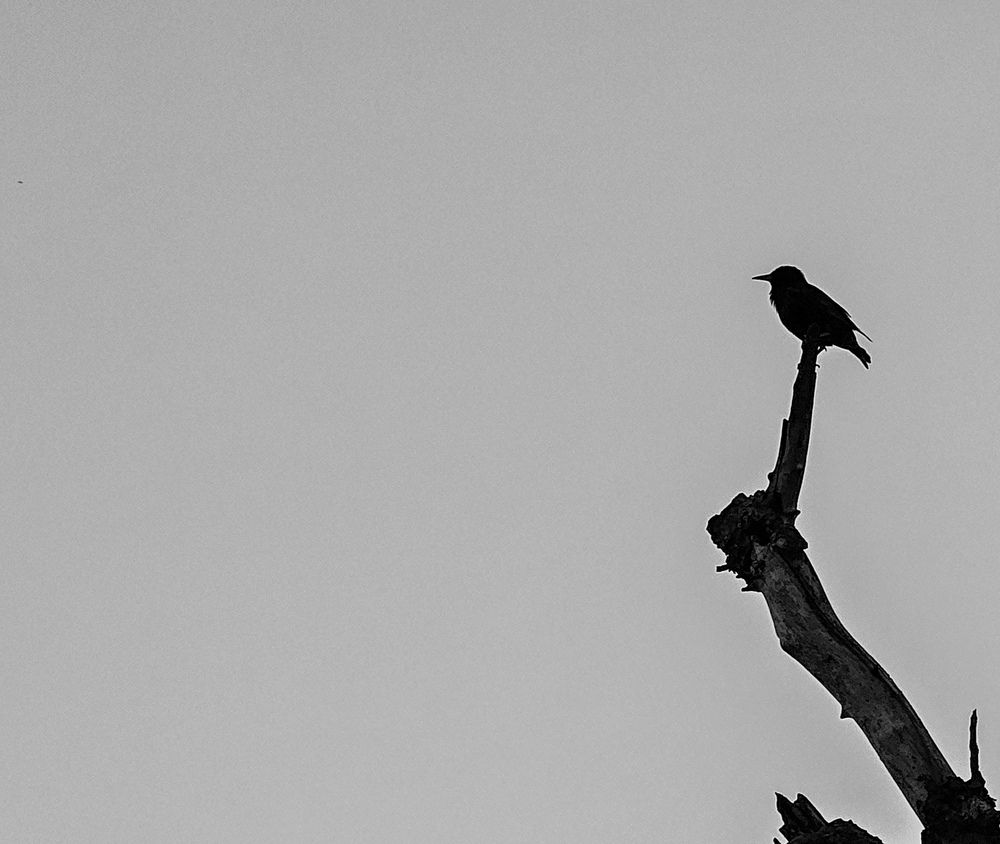 Photograph by Irina Sushkova