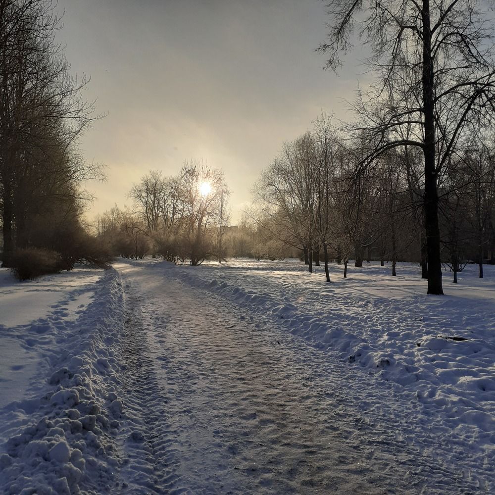Photograph by Надежда Спорынева
