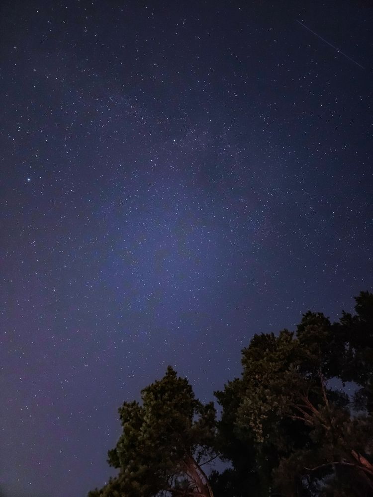 Photograph by Хельга Кольцова