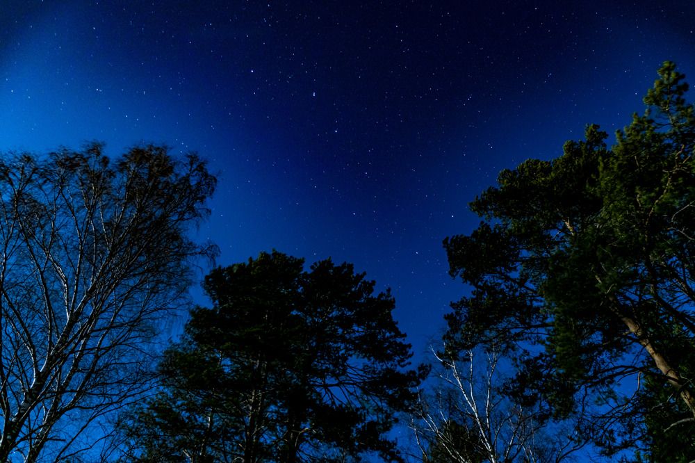 Photograph by Игорь Скорняков