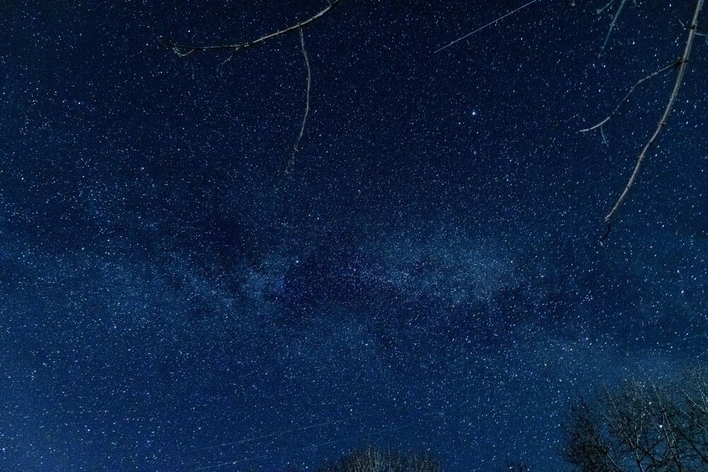 Photograph by Игорь Скорняков