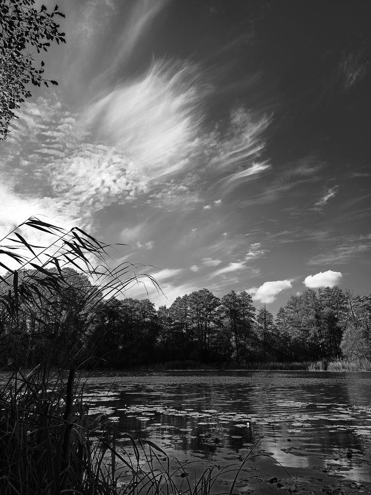 Photograph by Ирина Дегтярева