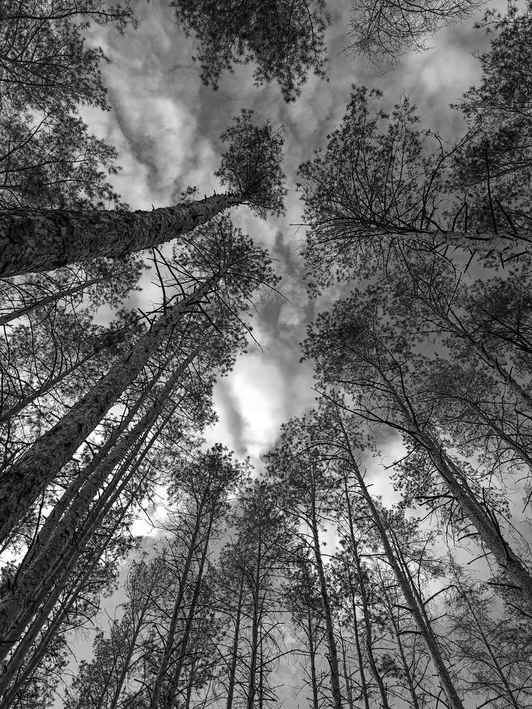 Photograph by Ирина Дегтярева