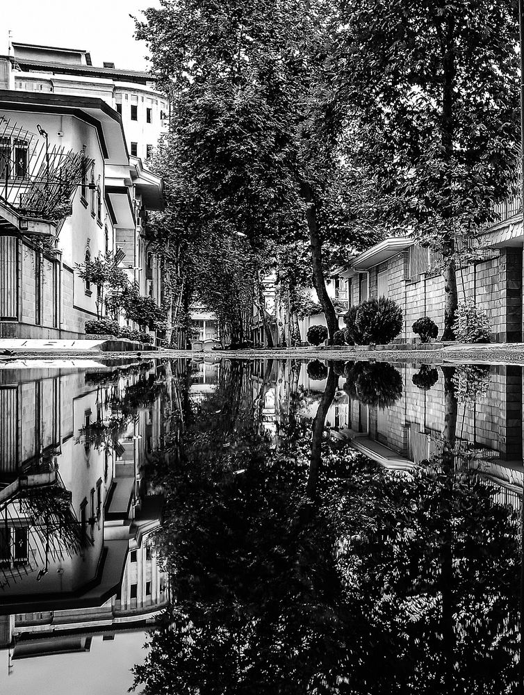 Photograph by hasan sorena jouri