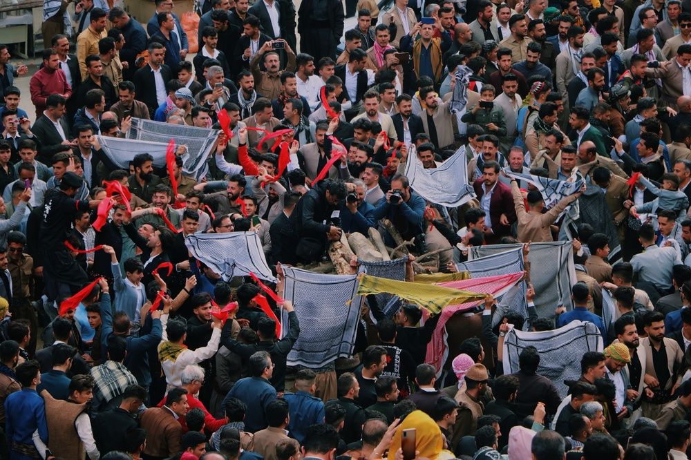 Фотография автора ida amini