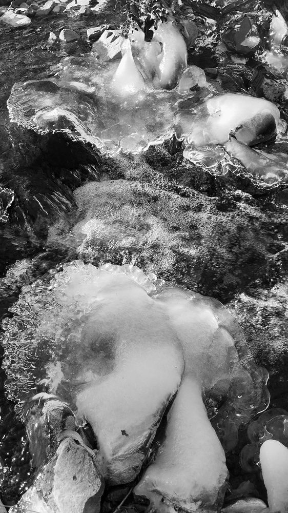 Photograph by Пальшенцева Анна