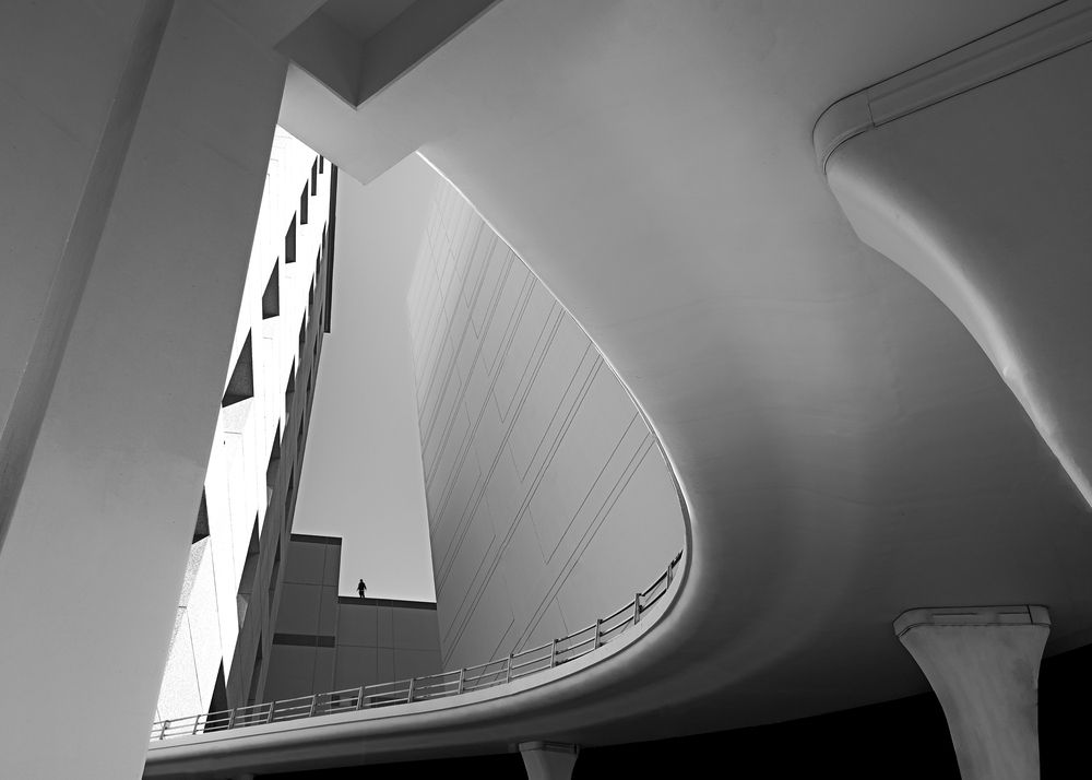 Фотография автора Ali Zolghadri