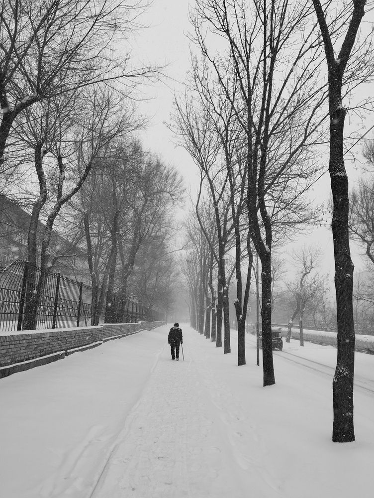 Photograph by Пальшенцева Анна