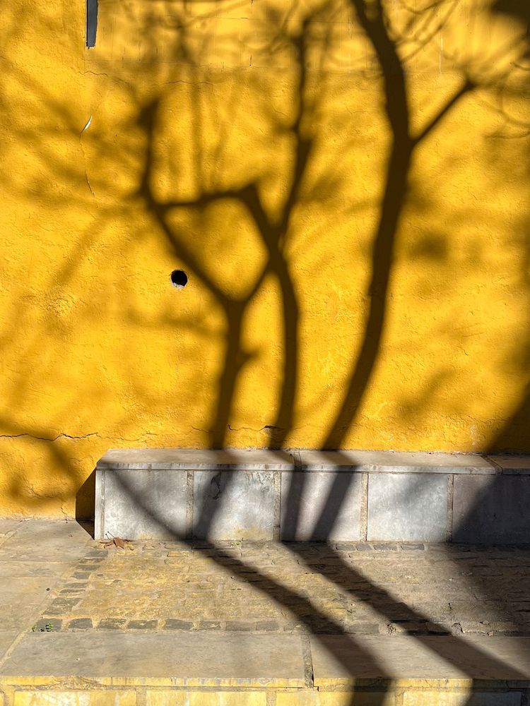 Photograph by Балахонова Галина