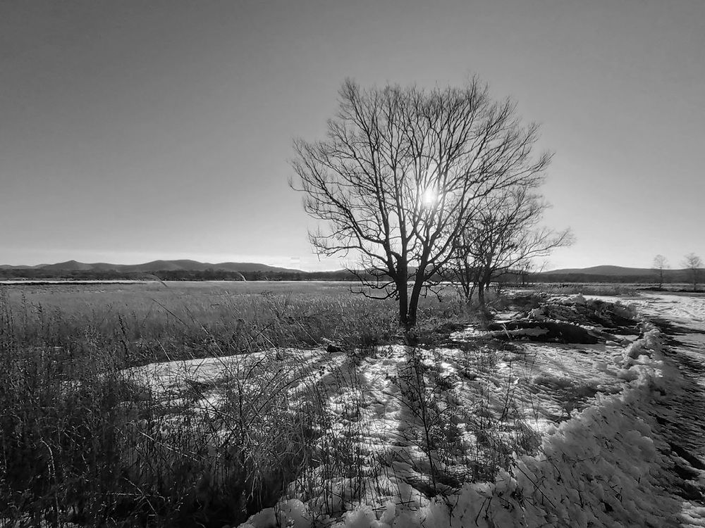Фотография автора Любовь Сергеева