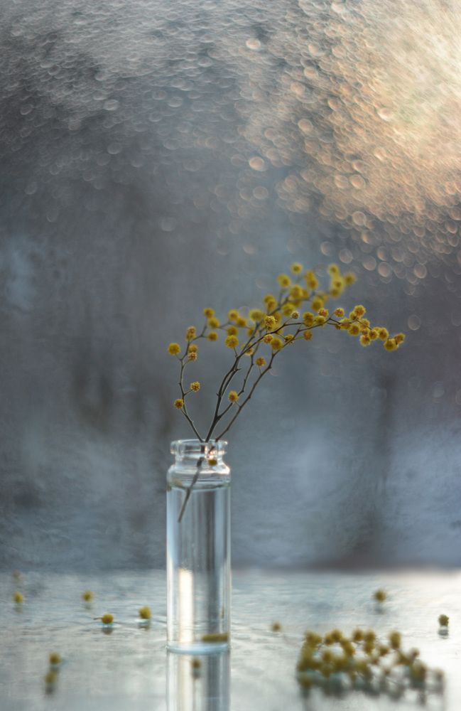 Photograph by Алена Полетаева