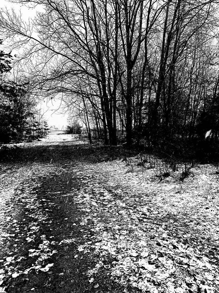 Photograph by Ольга Сай