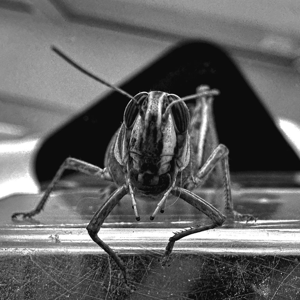 Photograph by Ника Обида