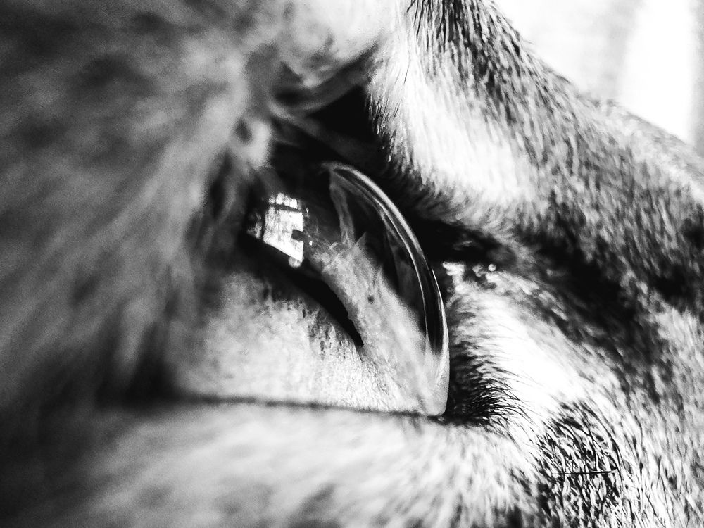 Photograph by Ника Обида