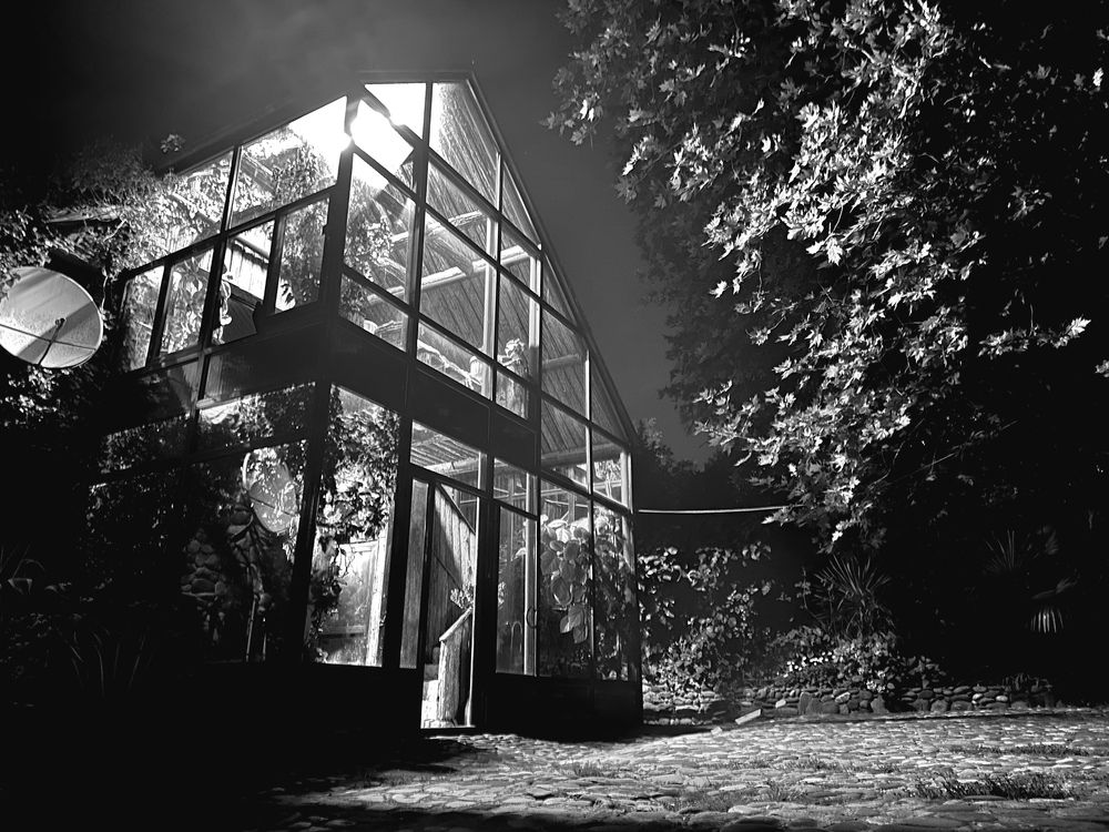 Photograph by Ника Обида