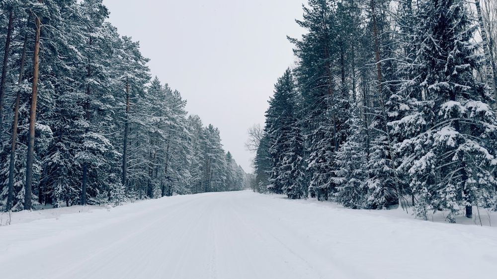 Photograph by Дмитрий Фетисов