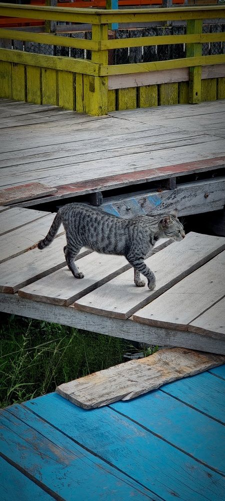 Photograph by Gr Marie