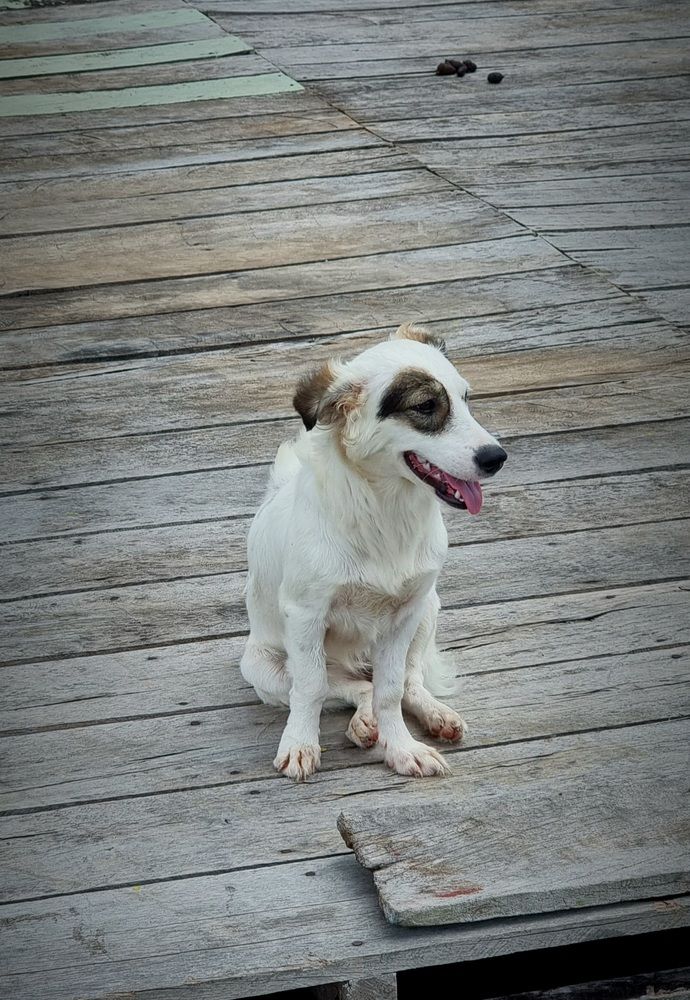 Photograph by Gr Marie