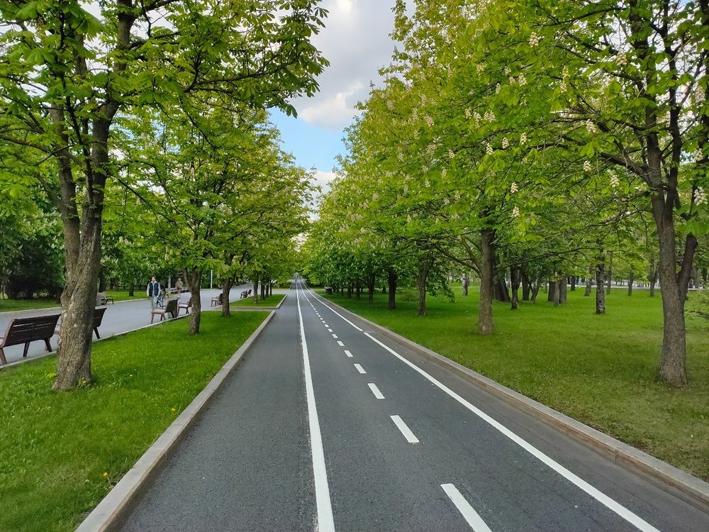 Фотография автора Елена Баранова