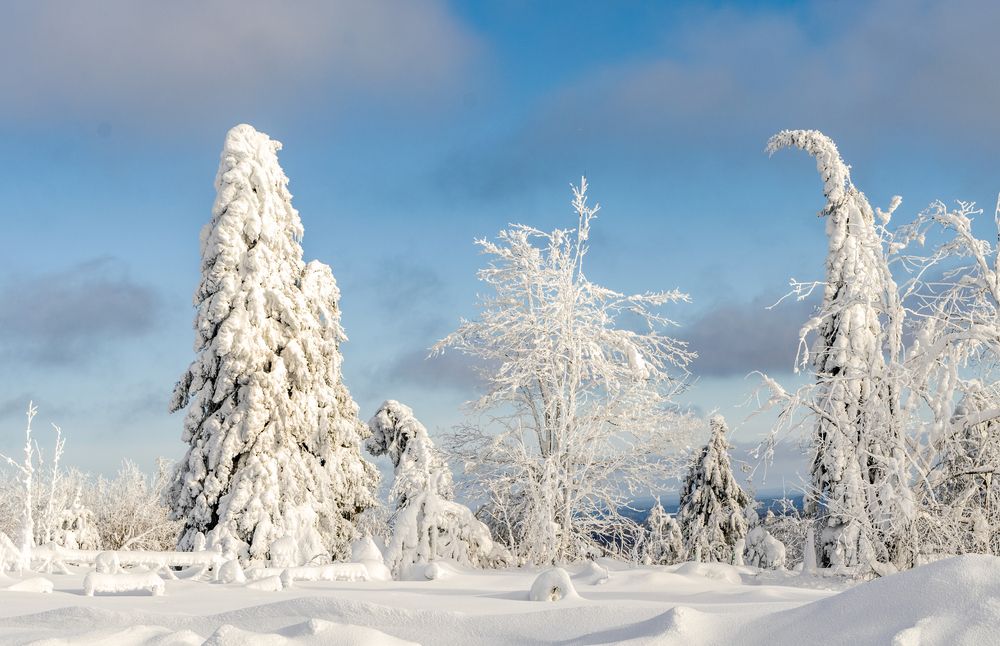 На Белой горе