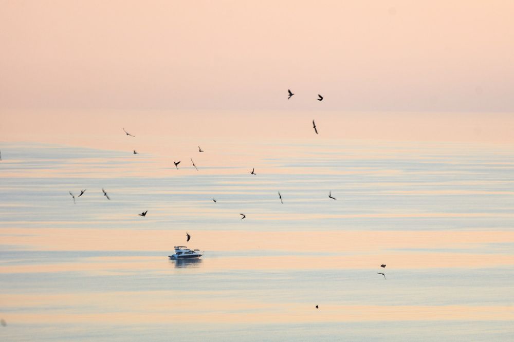 Photograph by Антон Ляпунов